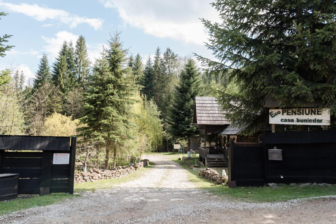 Pensiunea Casa Bunicilor Mînăstirea Humorului Exterior foto