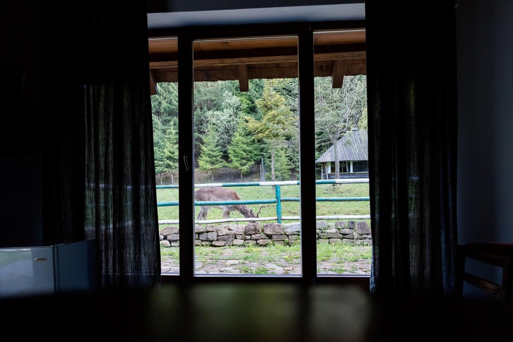 Pensiunea Casa Bunicilor Mînăstirea Humorului Exterior foto
